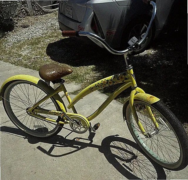 NIRVE Limited Edition Island Flower Adult Cruiser Bicycle California Vibes