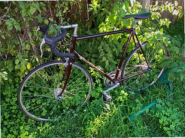 Vintage Bianchi Limited Road Bike 59cm Frame? Made in Japan 700c 18 Speed